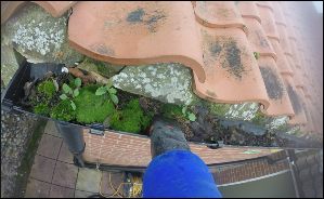 gutter cleaning by spotless lee clean