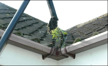 Gutter cleaning service in Norfolk
