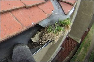Gutter cleaning in West Runton Norfolk