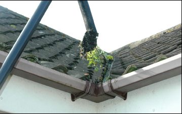 Gutter cleaning service in Norfolk